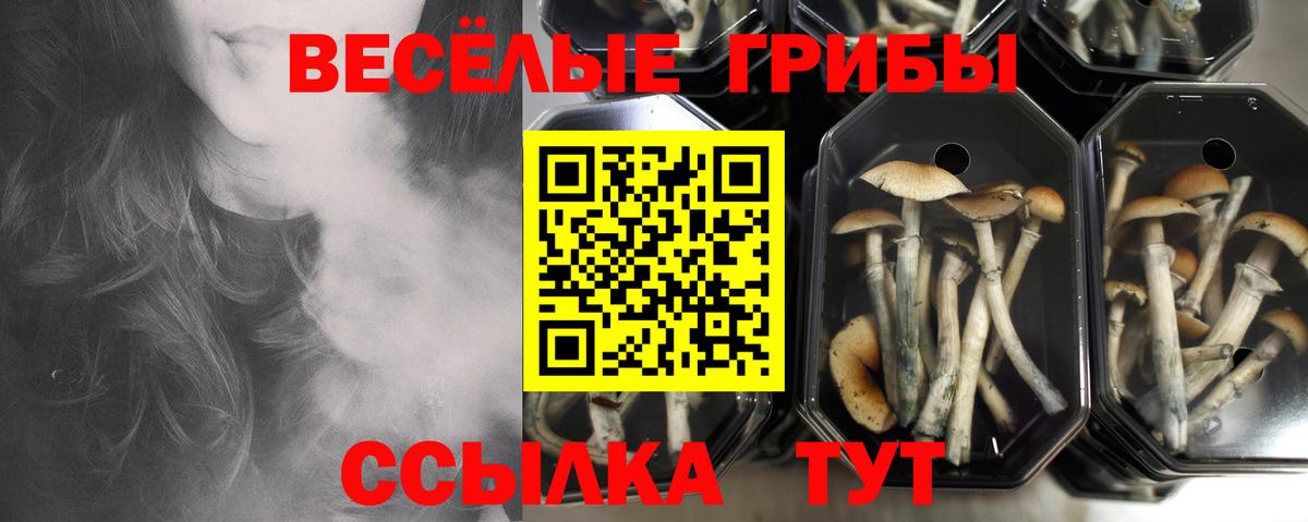 Галлюциногенные грибы MAGIC MUSHROOMS  Вход с VPN  магазин    Красноармейск 